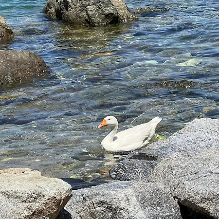 Fotis Naxos Διαμέρισμα Πλάκα